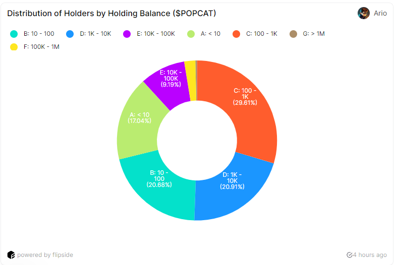 POPCAT holder distribution