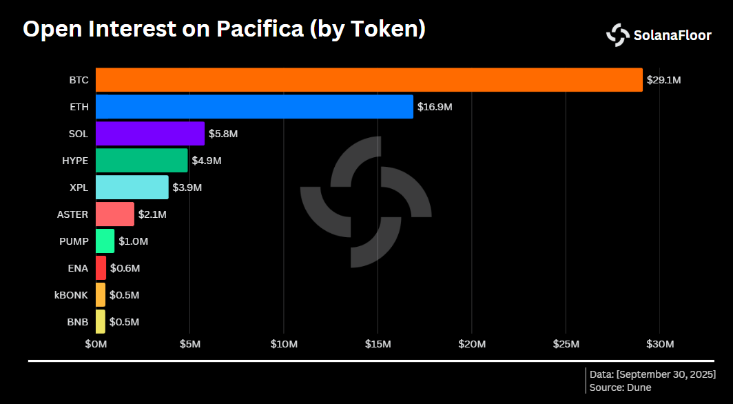 Oi on Pacifica