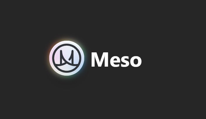 Meso logo