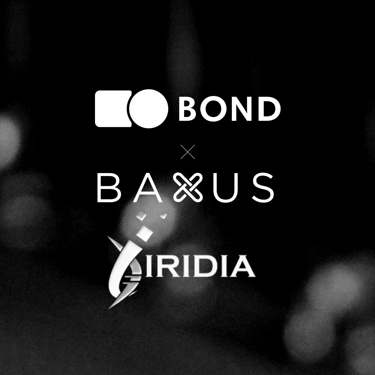 bond baxus iridia collab