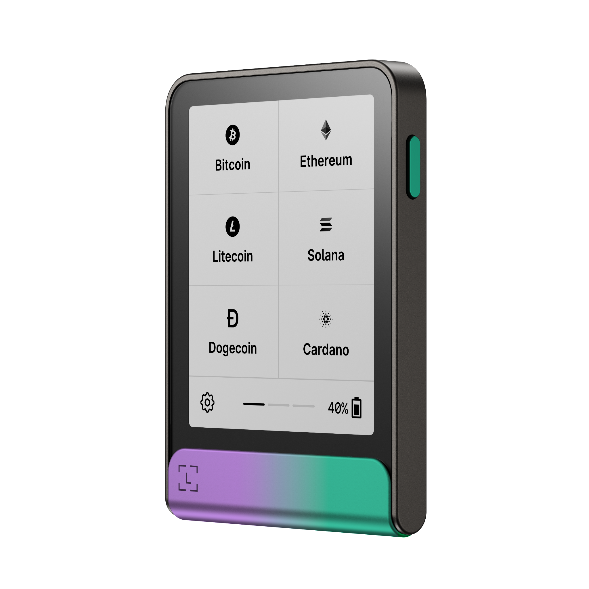 ledger face